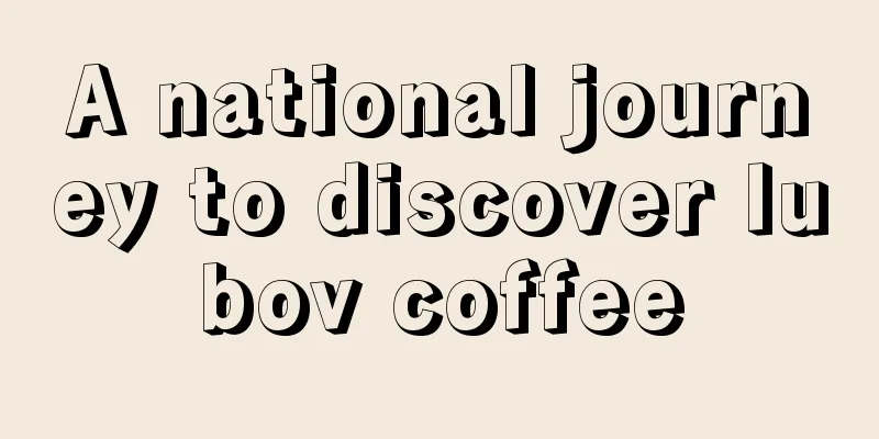 A national journey to discover lubov coffee