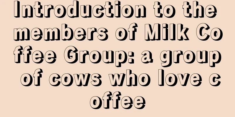 Introduction to the members of Milk Coffee Group: a group of cows who love coffee