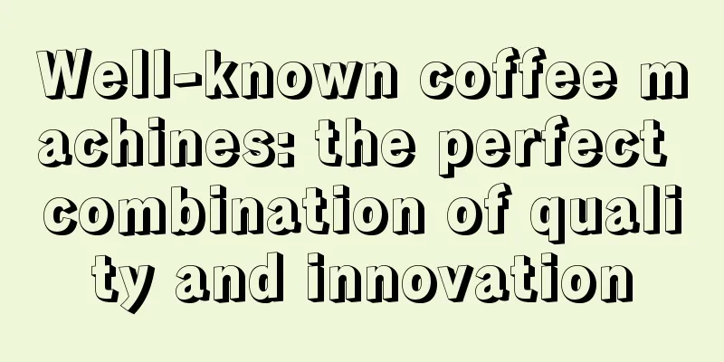 Well-known coffee machines: the perfect combination of quality and innovation