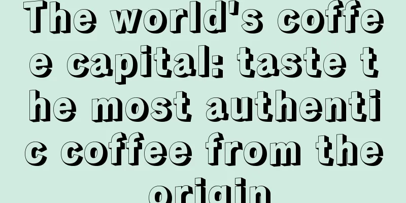 The world's coffee capital: taste the most authentic coffee from the origin