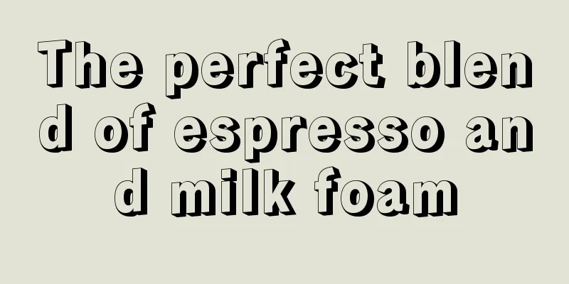 The perfect blend of espresso and milk foam