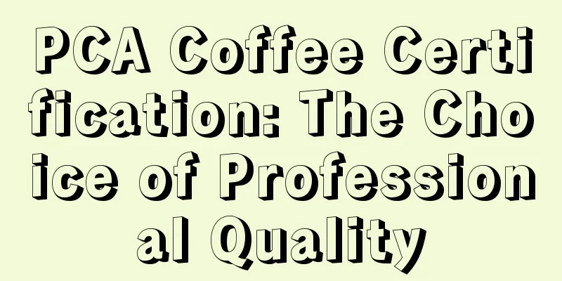 PCA Coffee Certification: The Choice of Professional Quality