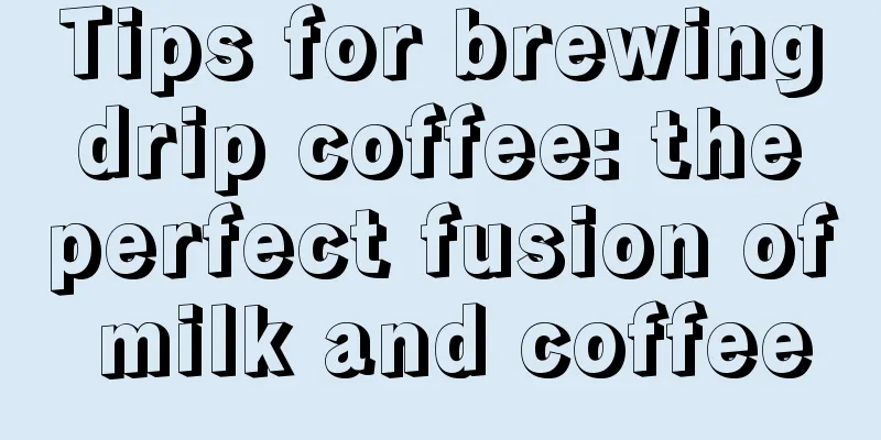 Tips for brewing drip coffee: the perfect fusion of milk and coffee