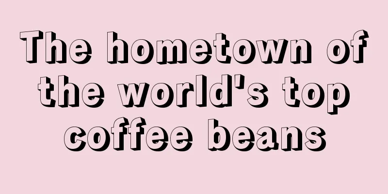 The hometown of the world's top coffee beans