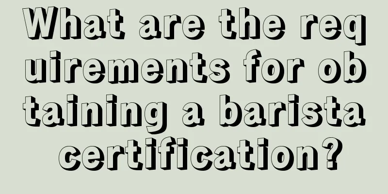 What are the requirements for obtaining a barista certification?