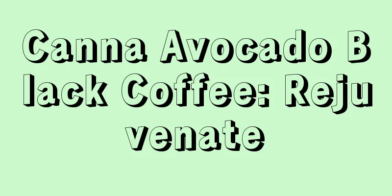 Canna Avocado Black Coffee: Rejuvenate