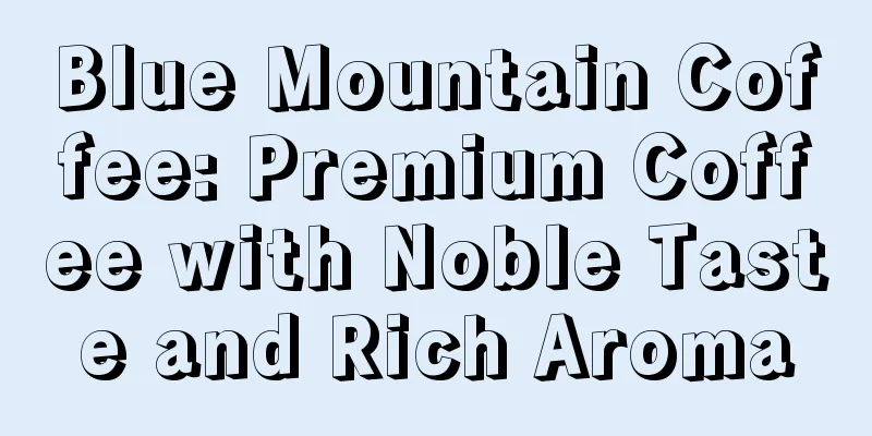 Blue Mountain Coffee: Premium Coffee with Noble Taste and Rich Aroma