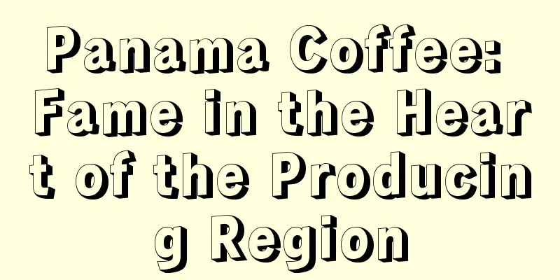 Panama Coffee: Fame in the Heart of the Producing Region