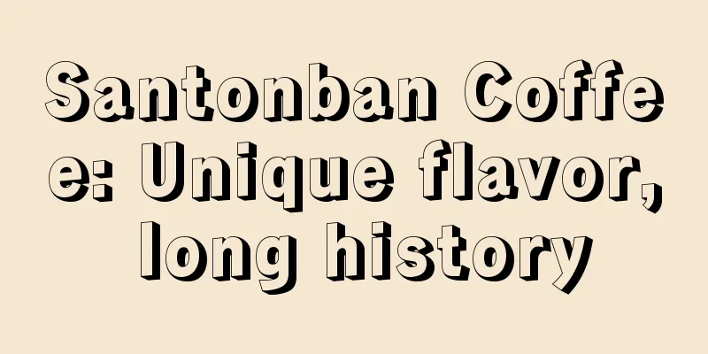 Santonban Coffee: Unique flavor, long history