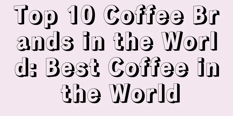 Top 10 Coffee Brands in the World: Best Coffee in the World