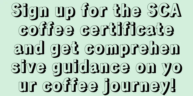 Sign up for the SCA coffee certificate and get comprehensive guidance on your coffee journey!